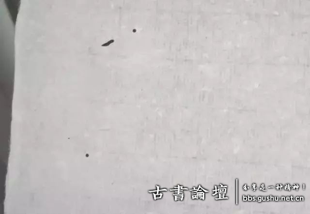 中国古代古籍纸张种类介绍 古籍善本 第14张-墨韵书香 中国古代古籍纸张种类介绍 古籍善本 第14张