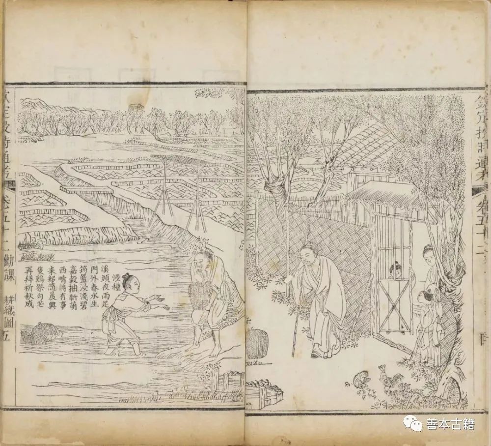 木刻版画：独特的刀味与木味 古籍善本 第4张