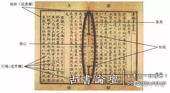 书籍装帧 独特的艺术 古籍善本 第2张