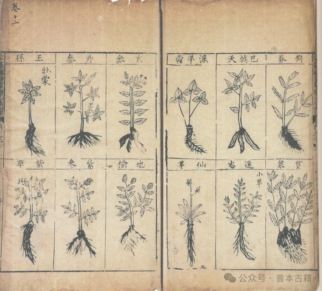 金陵版《本草纲目》出版前后及其影响 古籍善本 第4张-墨韵书香 金陵版《本草纲目》出版前后及其影响 古籍善本 第4张