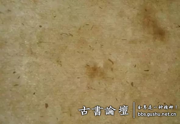 中国古代古籍纸张种类介绍 古籍善本 第15张-墨韵书香 中国古代古籍纸张种类介绍 古籍善本 第15张