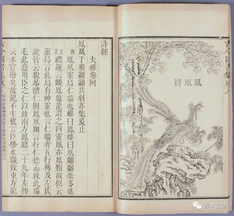 古籍孤本、善本与珍本的概念 古籍善本 第3张