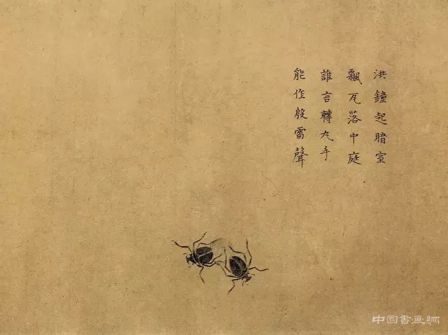 中国画里的“草虫” 历代国画 第12张