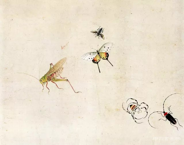 中国画里的“草虫” 历代国画 第21张