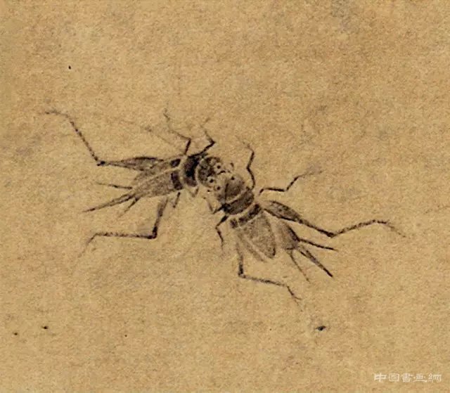中国画里的“草虫” 历代国画 第14张