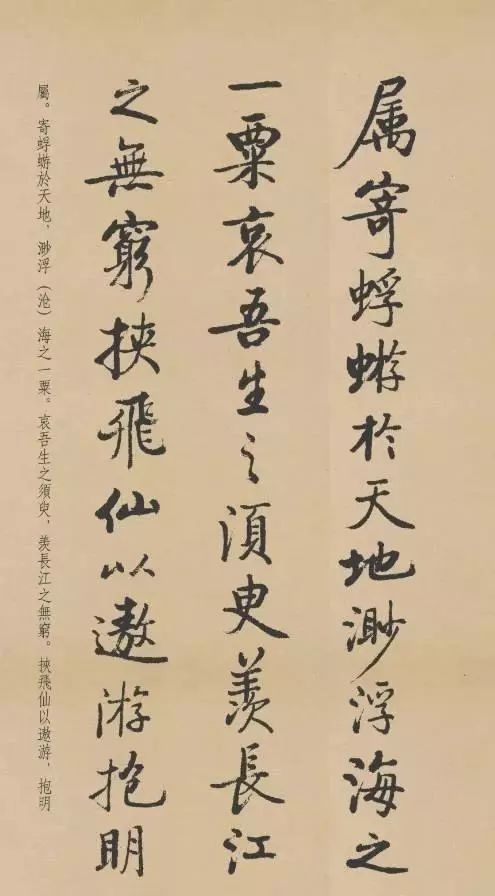 历代名家书《赤壁赋》，好文与好字的精彩碰撞！ 历代书法 第100张