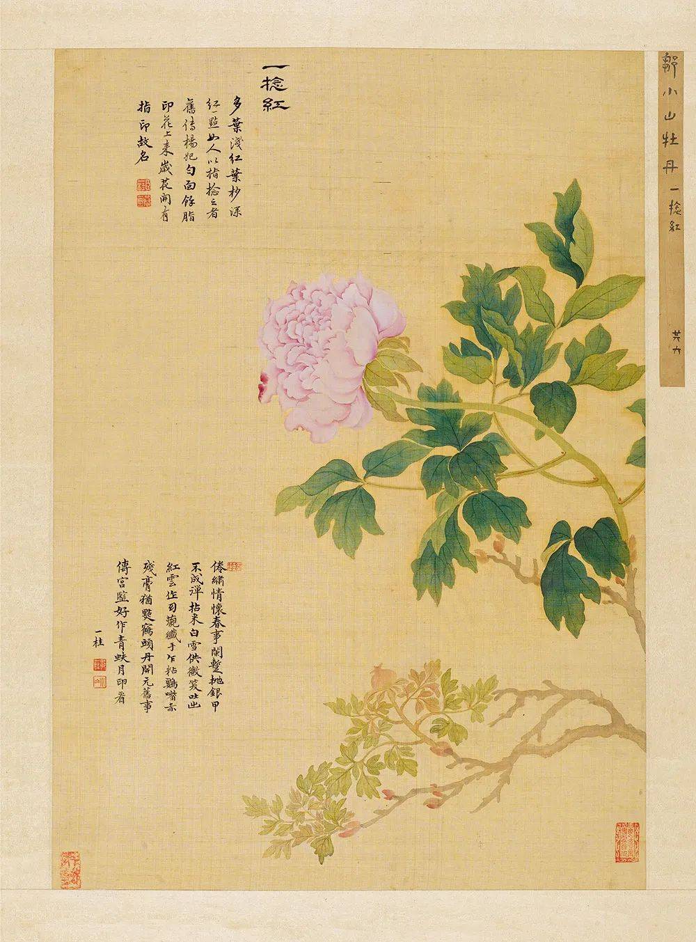 邹一桂《牡丹二十四品图》 历代国画 第73张