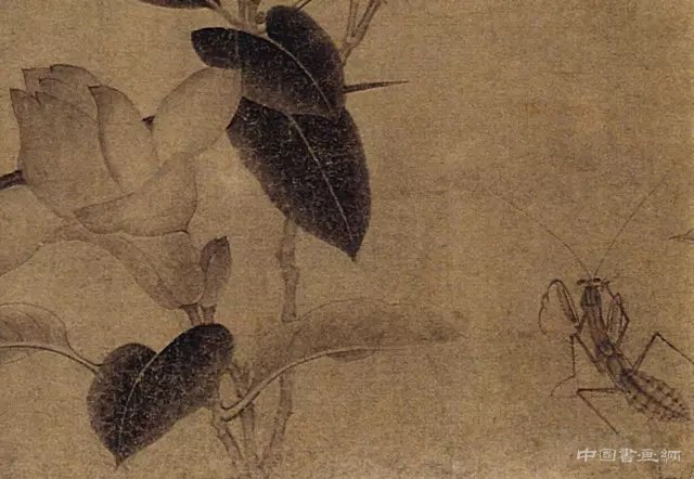 中国画里的“草虫” 历代国画 第6张