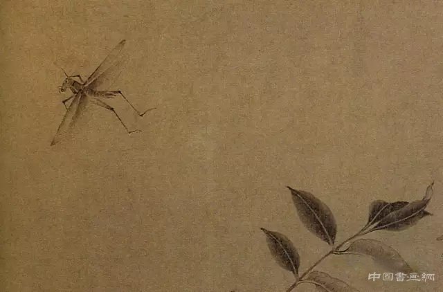 中国画里的“草虫” 历代国画 第7张