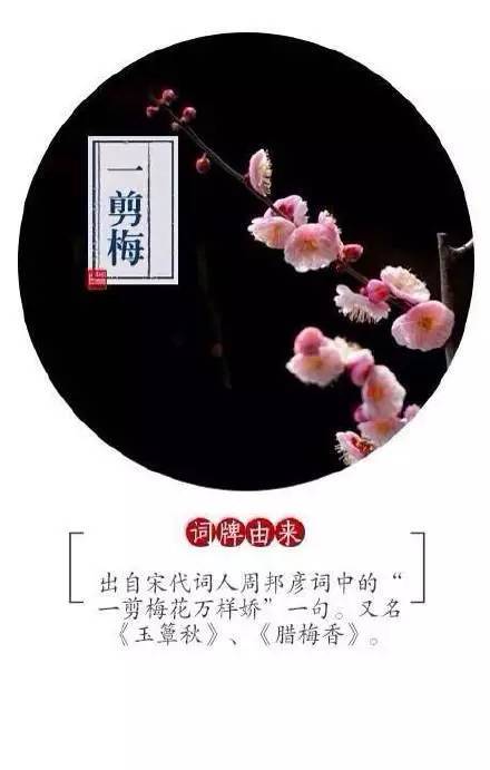 唯美的经典词牌由来，你知道多少？ 书画知识 第7张