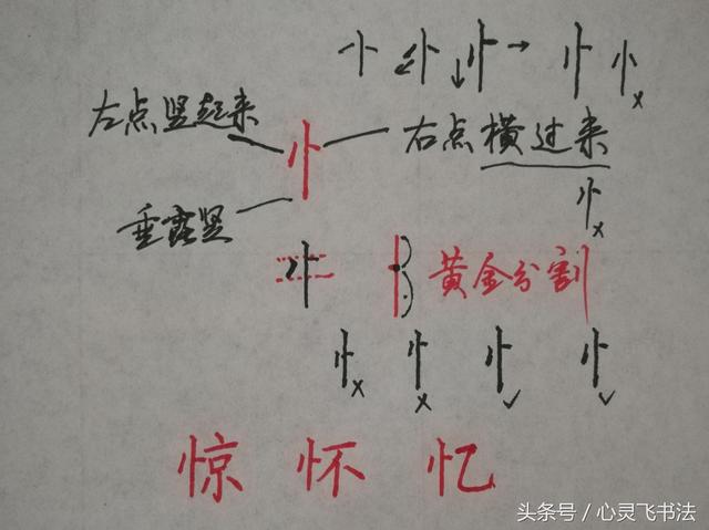 干货！收藏练字秘籍：精选50个最难写偏旁部首图解、技法、正误对照 书画知识 第19张