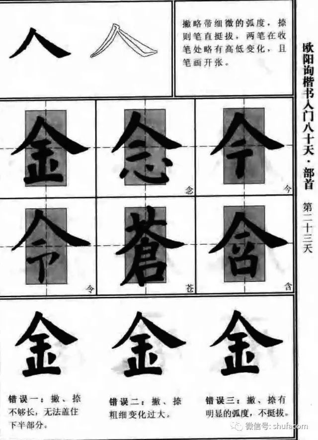 欧体入门80天！ 未分类 第21张