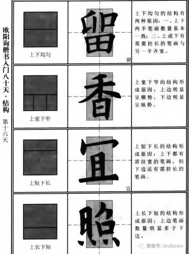欧体入门80天！ 未分类 第14张
