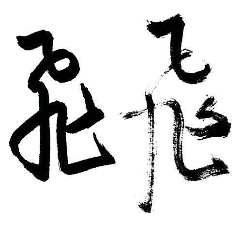 我告诉你 在书法中怎么整“飞白” 书画知识 第3张