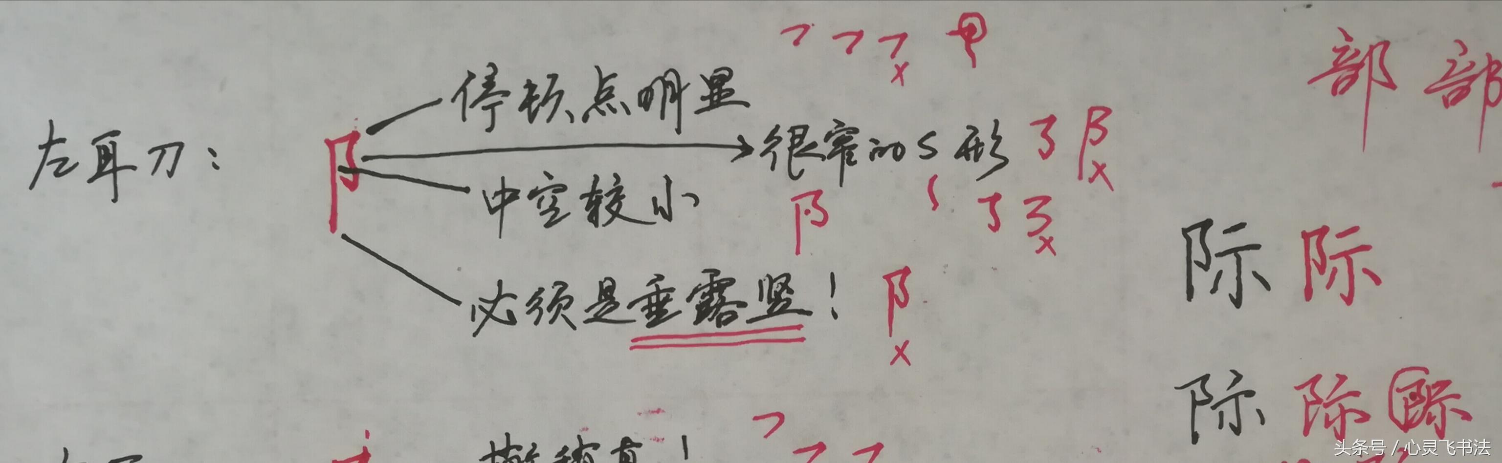 干货！收藏练字秘籍：精选50个最难写偏旁部首图解、技法、正误对照 书画知识 第15张