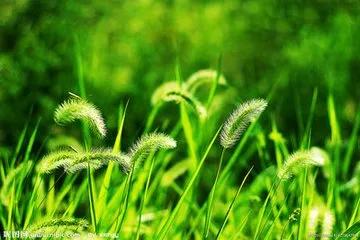 书法口诀，建议收藏！ 未分类 第4张