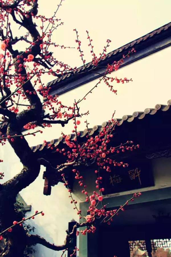小时候背那么多诗有什么用？这是我听过的最好的答案 未分类 第4张