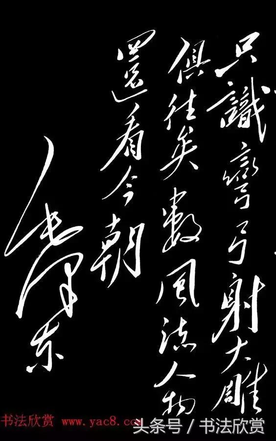 草书沁园春雪全篇分析 书画知识 第5张