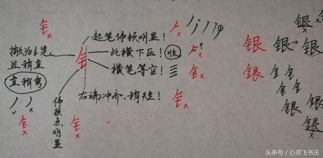 干货！收藏练字秘籍：精选50个最难写偏旁部首图解、技法、正误对照 书画知识 第11张