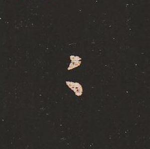 笔法质朴浑厚，雍容自然——钟繇《宣示表》单字放大，美哭了！ 书画知识 第12张