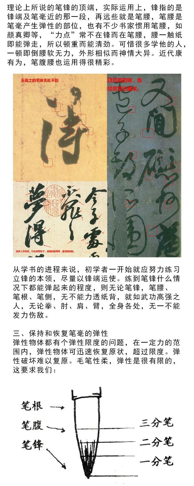 学书法？这些最基本的一定要了解 书画知识 第4张
