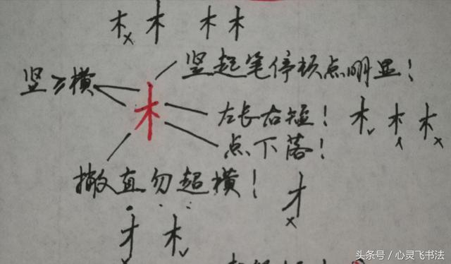 干货！收藏练字秘籍：精选50个最难写偏旁部首图解、技法、正误对照 书画知识 第10张