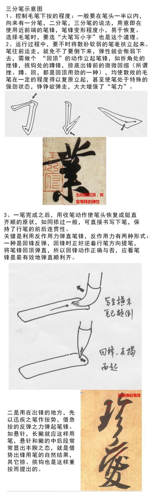 学书法？这些最基本的一定要了解 书画知识 第5张