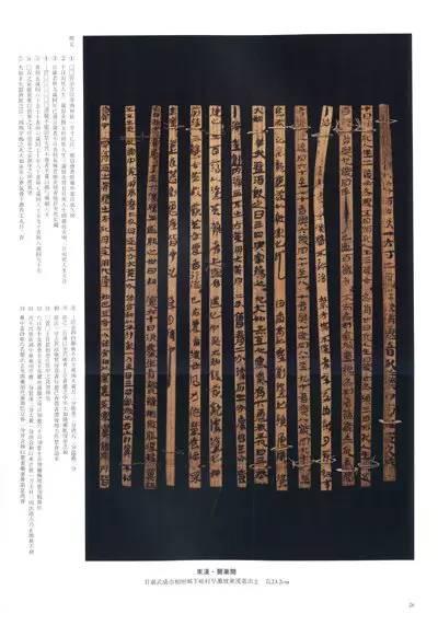 书法|详解隶书发展的历史 书画知识 第4张