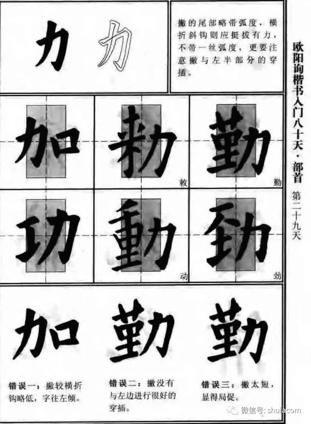 欧体入门80天！ 未分类 第27张
