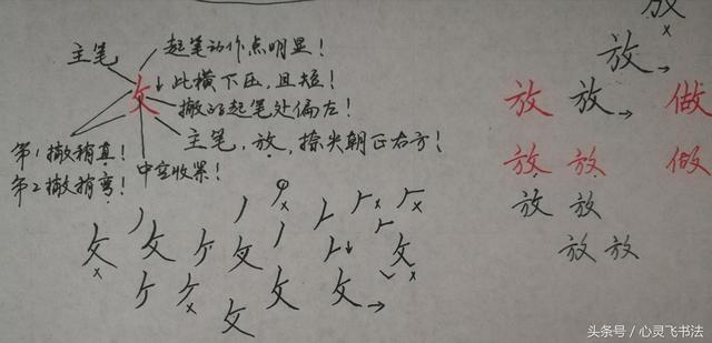 干货！收藏练字秘籍：精选50个最难写偏旁部首图解、技法、正误对照 书画知识 第14张