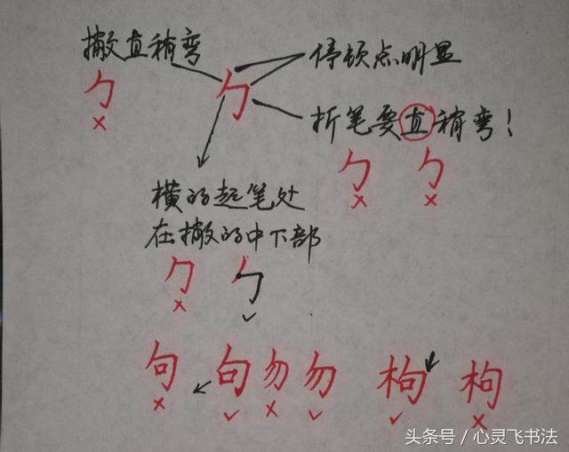 干货！收藏练字秘籍：精选50个最难写偏旁部首图解、技法、正误对照 书画知识 第38张