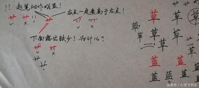干货！收藏练字秘籍：精选50个最难写偏旁部首图解、技法、正误对照 书画知识 第32张