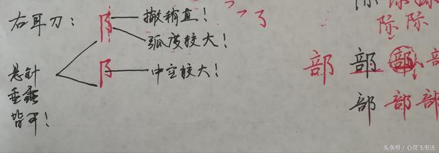 干货！收藏练字秘籍：精选50个最难写偏旁部首图解、技法、正误对照 书画知识 第16张