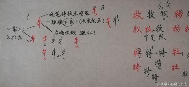 干货！收藏练字秘籍：精选50个最难写偏旁部首图解、技法、正误对照 书画知识 第25张