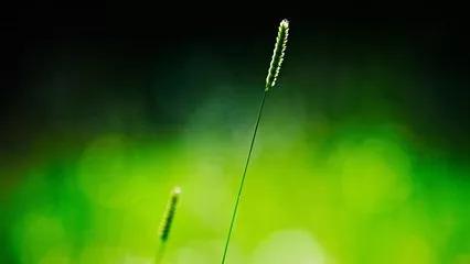 书法口诀，建议收藏！ 未分类 第7张