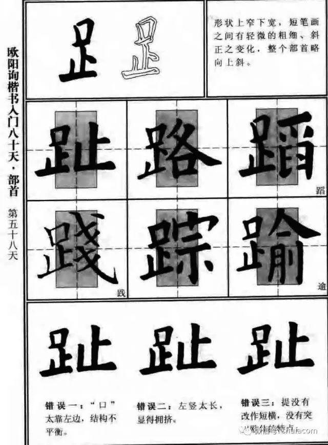 欧体入门80天！ 未分类 第56张