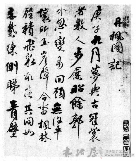 四宁四勿 奔腾缠绕—傅山行草的视觉感受 书画知识 第2张