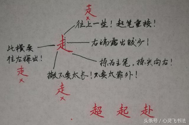 干货！收藏练字秘籍：精选50个最难写偏旁部首图解、技法、正误对照 书画知识 第43张