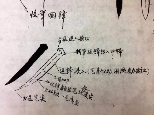 基础为0，书法怎样入门？ 书画知识 第11张