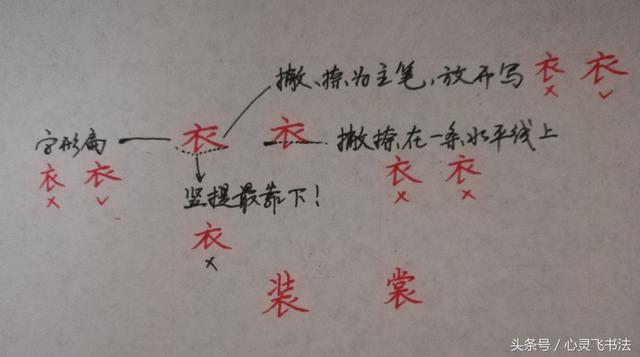 干货！收藏练字秘籍：精选50个最难写偏旁部首图解、技法、正误对照 书画知识 第37张