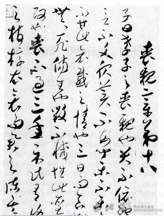 醉后把笔 纸尽语终—“四明狂客”的纵诞与理性 书画知识 第1张