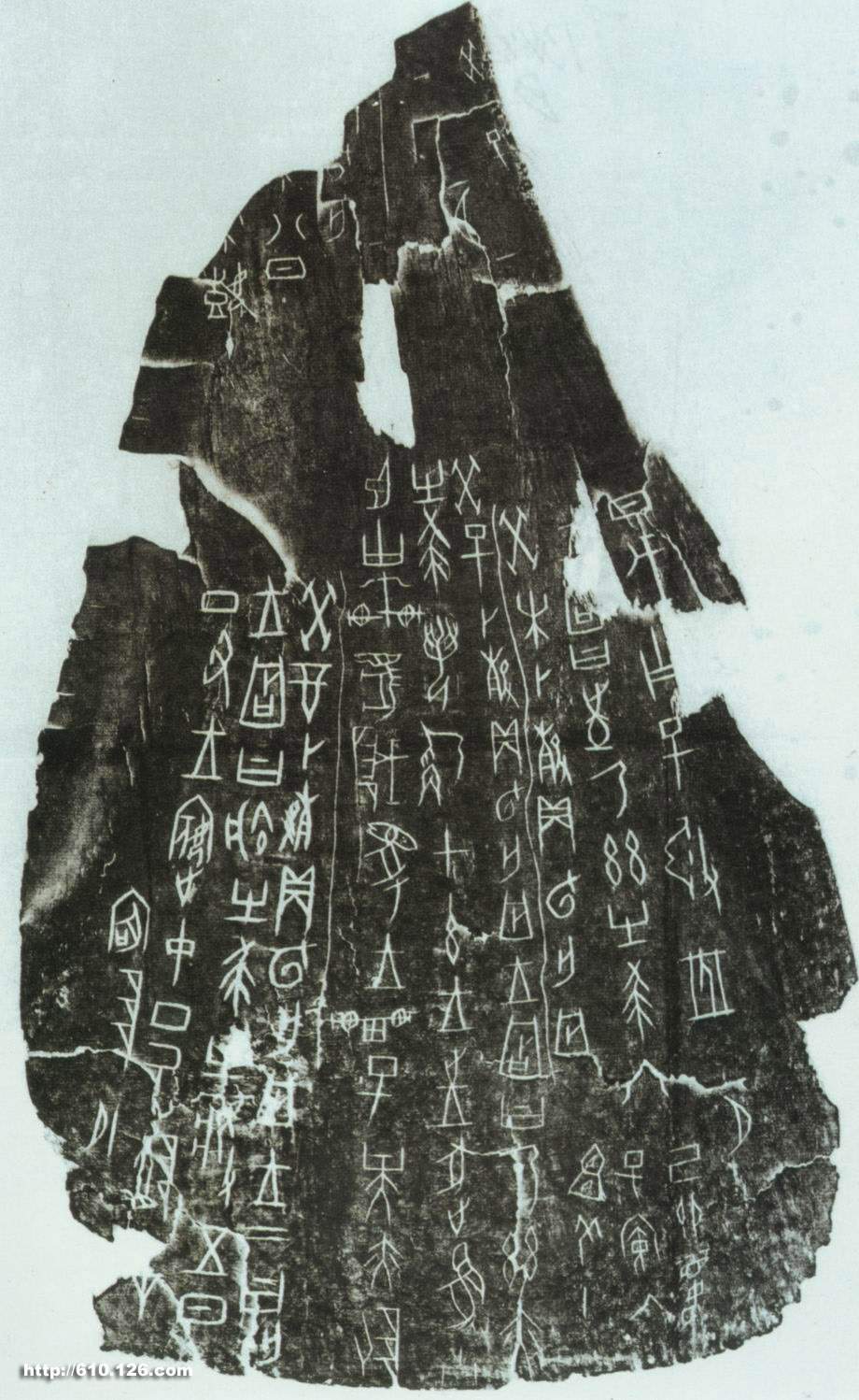 祭祀狩猎涂朱牛骨刻辞正面 历代书法 第1张-墨韵书香 祭祀狩猎涂朱牛骨刻辞正面 历代书法 第1张