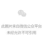 赵之谦——篆刻篇 书画知识 第32张