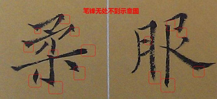 书法在用笔，用笔在用锋(图) 书画知识 第8张