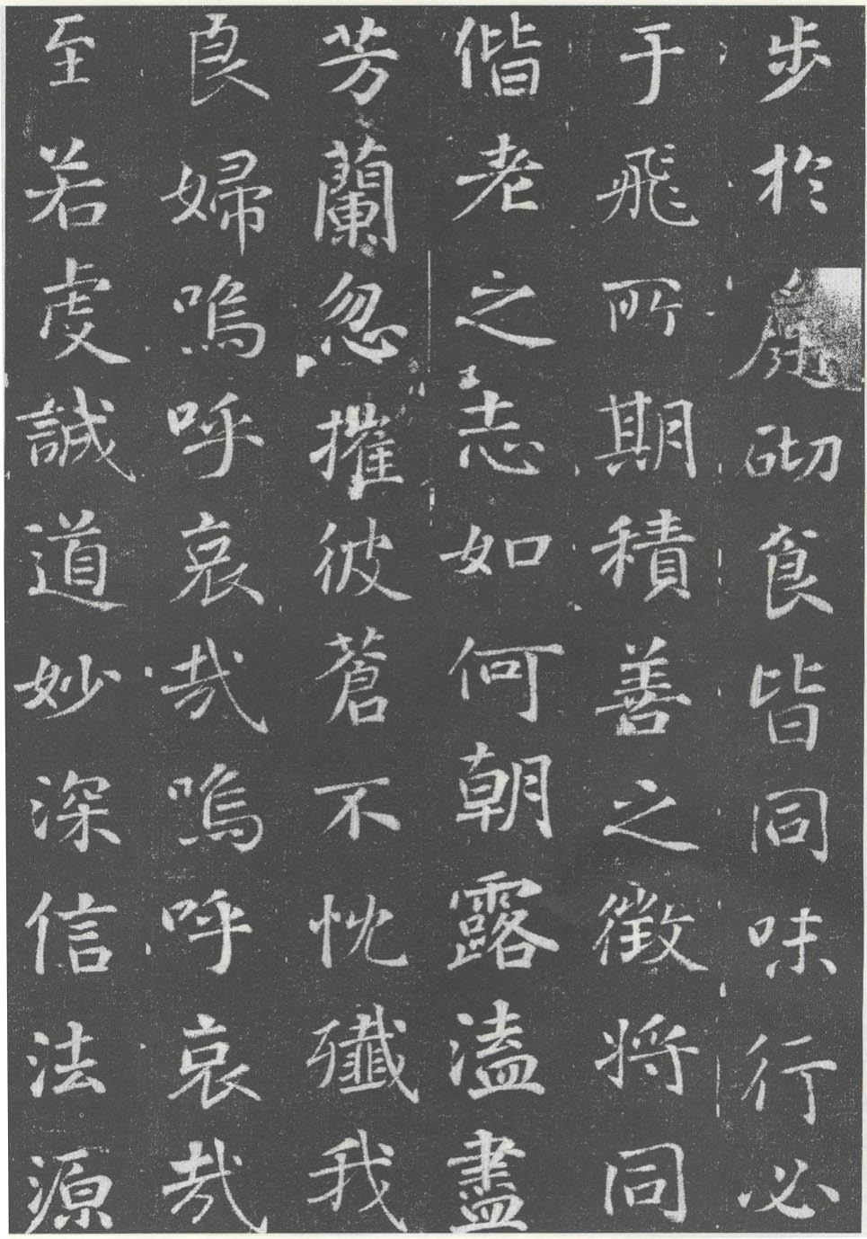 徐浩《李岘妻独孤峻墓志》 历代书法 第11张-墨韵书香 徐浩《李岘妻独孤峻墓志》 历代书法 第11张