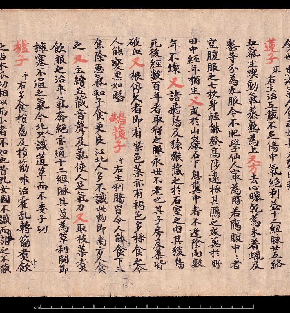 敦煌书法《 食疗本草》 书画知识 第8张-墨韵书香 敦煌书法《 食疗本草》 书画知识 第8张