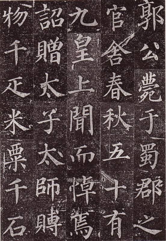 颜真卿最早的书法作品--《郭虚已墓志》 历代书法 第9张-墨韵书香 颜真卿最早的书法作品--《郭虚已墓志》 历代书法 第9张