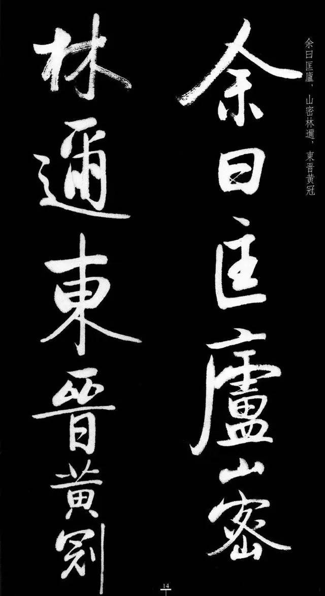 漂亮！启功临八大山人《荷上花》 书画知识 第13张