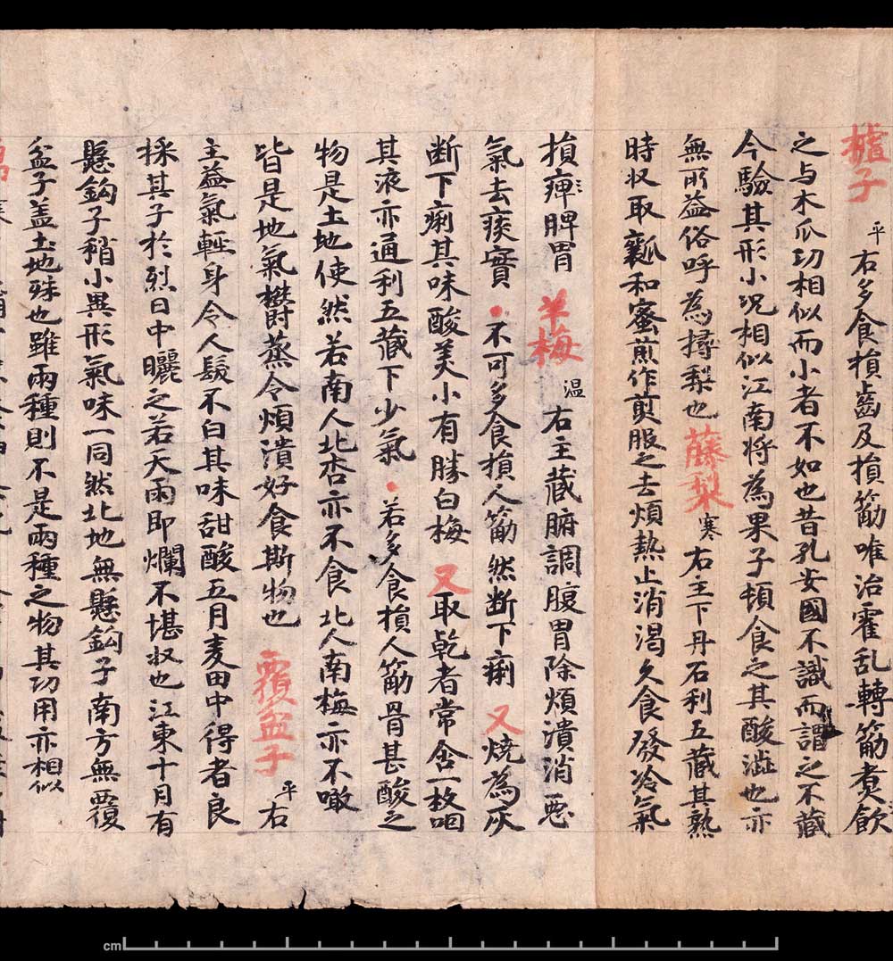 敦煌书法《 食疗本草》 书画知识 第9张-墨韵书香 敦煌书法《 食疗本草》 书画知识 第9张