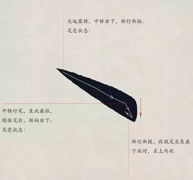 欧体入门｜基本笔画学习 书画知识 第14张